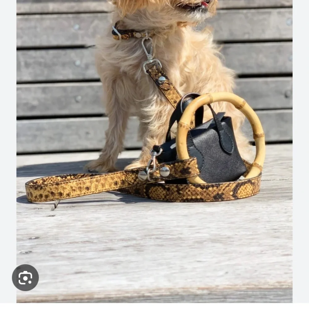 Shaya short dog leash new with tags